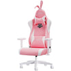 AutoFull C2 Pink Bunny AutoFull